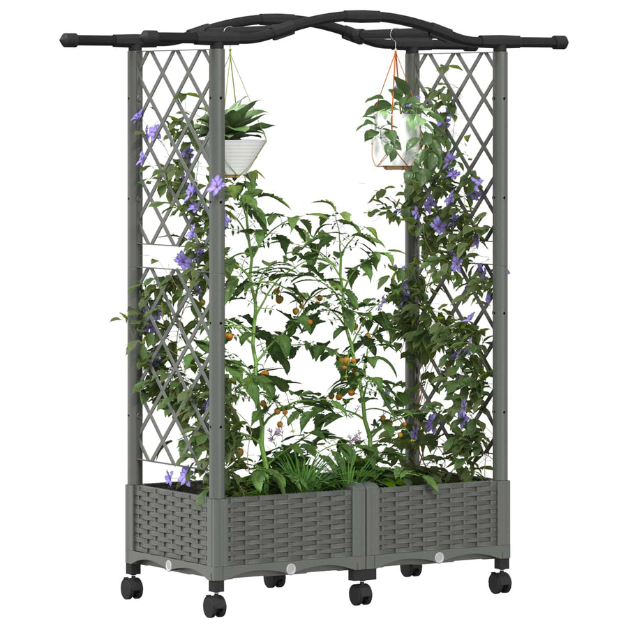 Verhoogd Bed met Trellis en Dak Lichtgrijs 124 x 40 x 129 cm PP