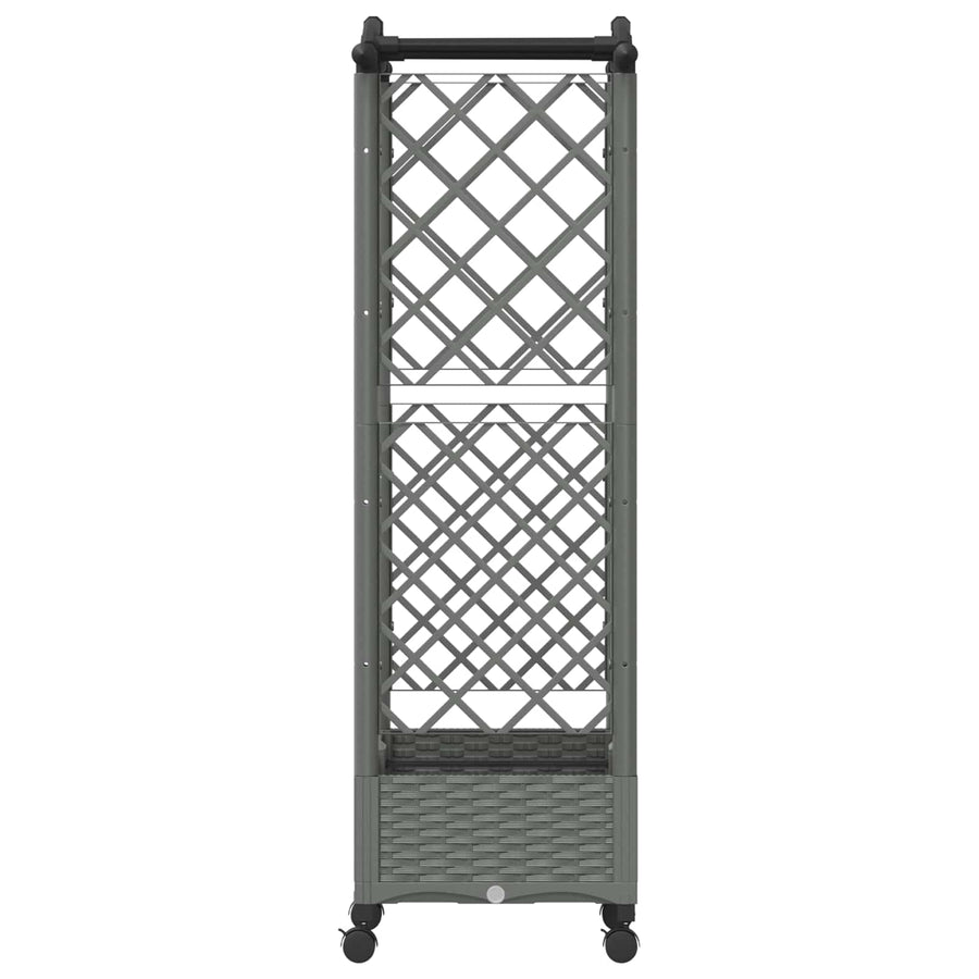 Verhoogd Bed met Trellis en Dak Lichtgrijs 124 x 40 x 129 cm PP