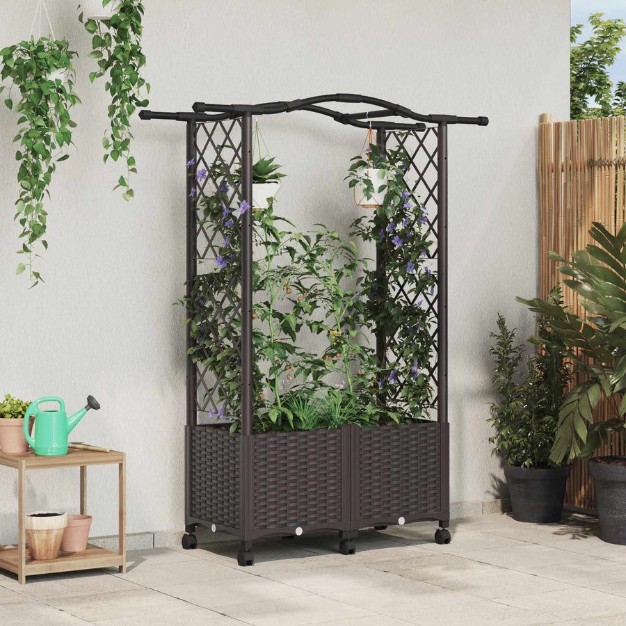 Verhoogd Bed met Trellis en Dak Bruin 125 x 40 x 144 cm PP