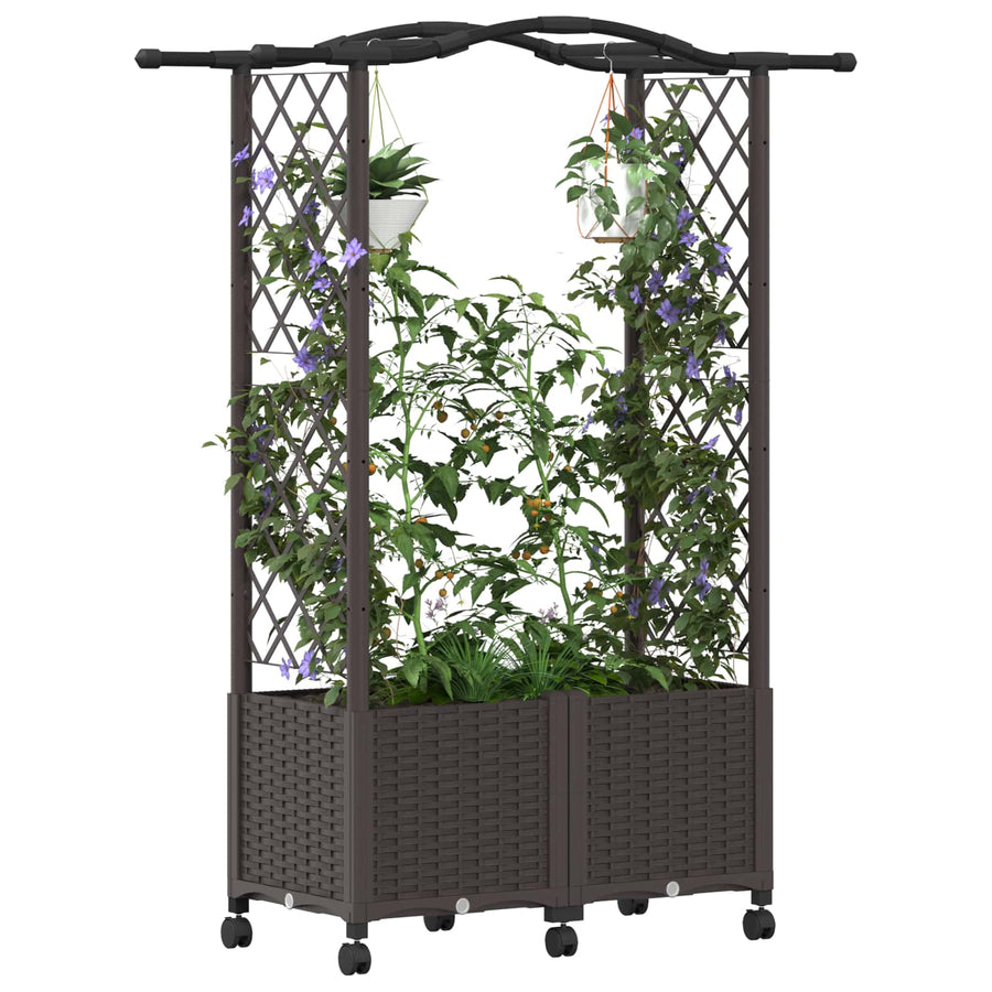 Verhoogd Bed met Trellis en Dak Bruin 125 x 40 x 144 cm PP