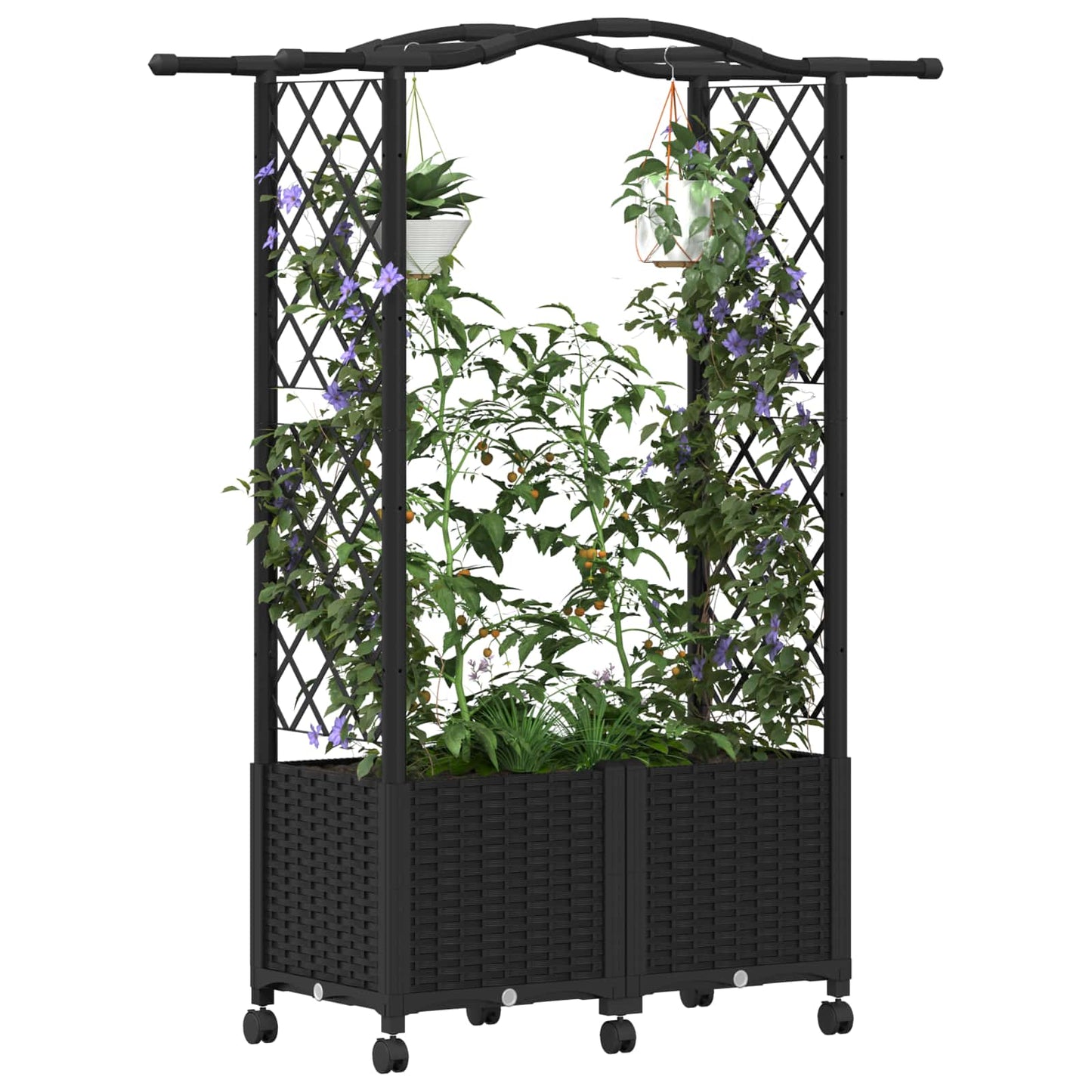 Verhoogd Bed met Trellis en Dak Zwart 125 x 40 x 144 cm PP