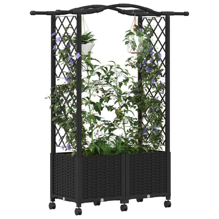 Verhoogd Bed met Trellis en Dak Zwart 125 x 40 x 144 cm PP