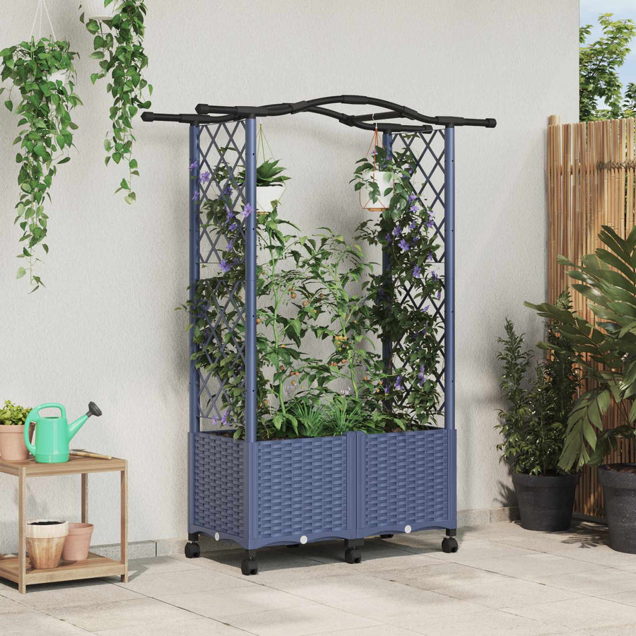 Verhoogd Bed met Trellis en Dak Grijs 125 x 40 x 144 cm PP