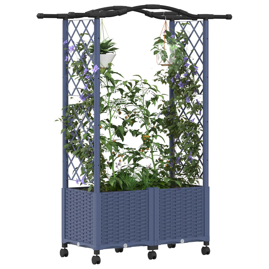 Verhoogd Bed met Trellis en Dak Grijs 125 x 40 x 144 cm PP
