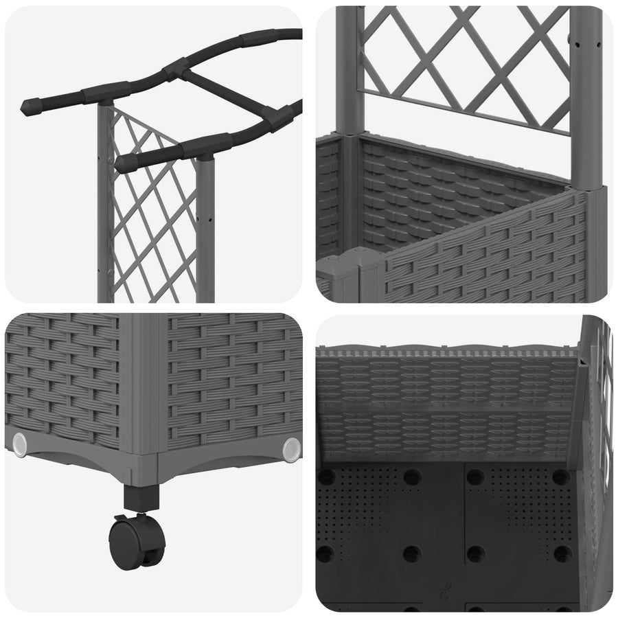Verhoogd Bed met Trellis en Dak Lichtgrijs 125 x 40 x 144 cm PP