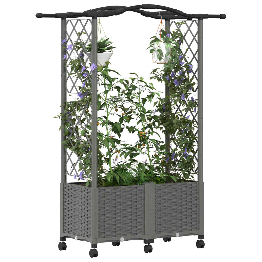 Verhoogd Bed met Trellis en Dak Lichtgrijs 125 x 40 x 144 cm PP