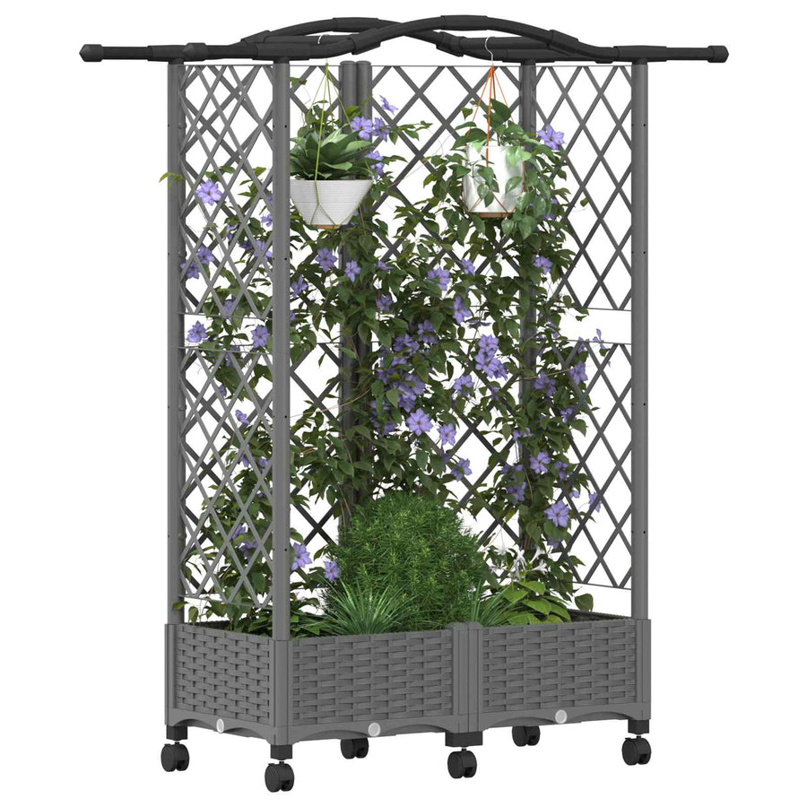 Verhoogd Bed met Trellis en Dak Lichtgrijs 124 x 40 x 129 cm PP