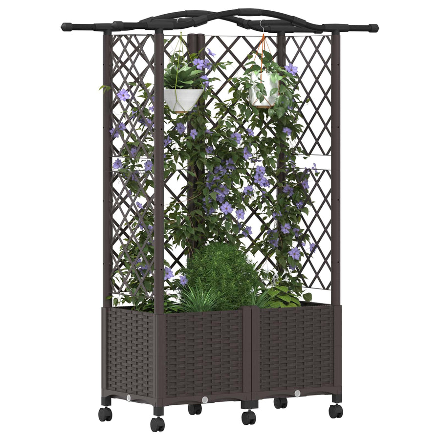 Verhoogd Bed met Trellis en Dak Bruin 122 x 40 x 144 cm PP