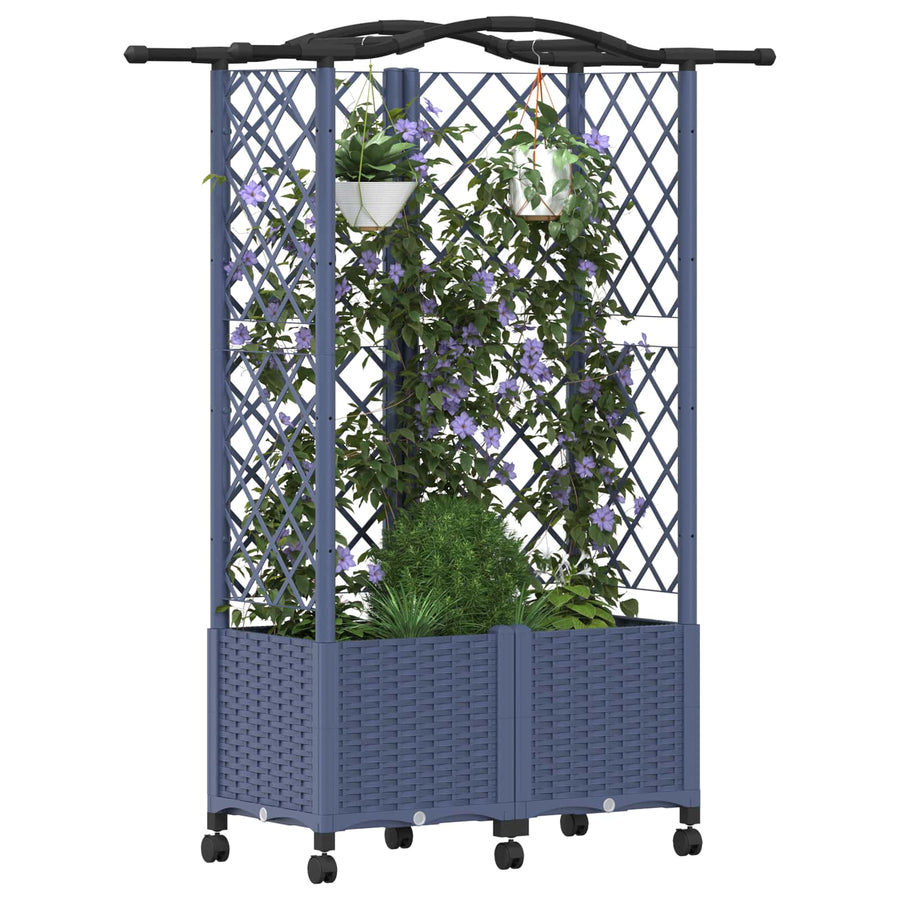 Verhoogd Bed met Trellis en Dak Grijs 122 x 40 x 144 cm PP