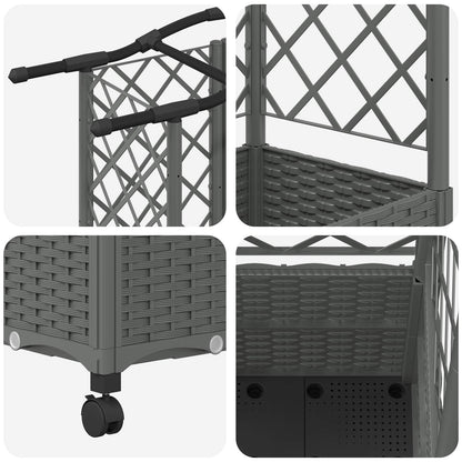 Verhoogd Bed met Trellis en Dak Lichtgrijs 122 x 40 x 144 cm PP