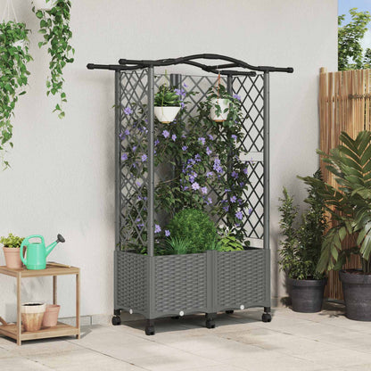 Verhoogd Bed met Trellis en Dak Lichtgrijs 122 x 40 x 144 cm PP