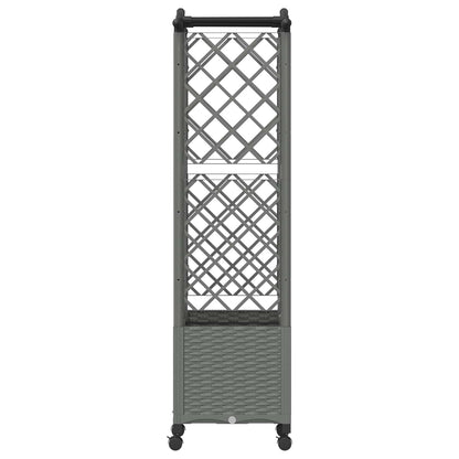 Verhoogd Bed met Trellis en Dak Lichtgrijs 122 x 40 x 144 cm PP