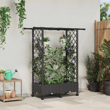 Verhoogd Bed met Trellis en Dak Bruin 122,5 x 40 x 127 cm PP