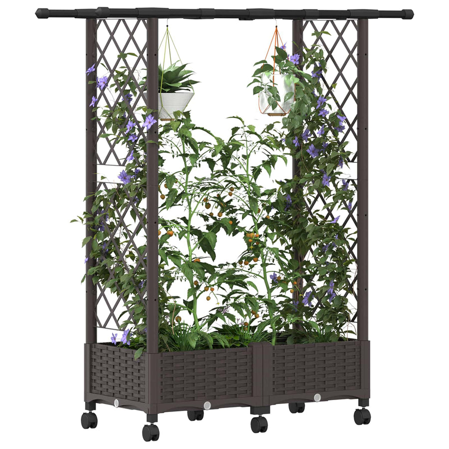 Verhoogd Bed met Trellis en Dak Bruin 122,5 x 40 x 127 cm PP