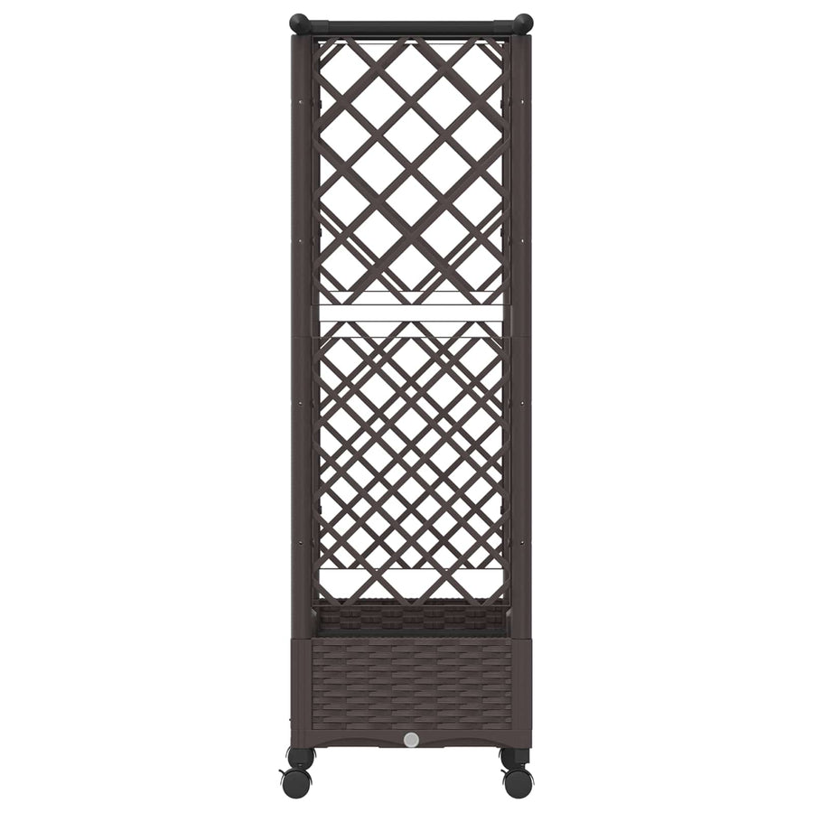Verhoogd Bed met Trellis en Dak Bruin 122,5 x 40 x 127 cm PP