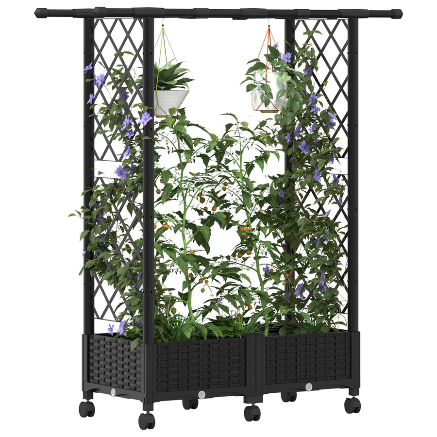 Verhoogd Bed met Trellis en Dak Zwart 122,5 x 40 x 127 cm PP