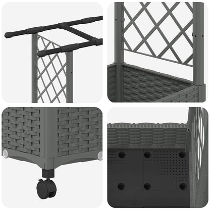 Verhoogd Bed met Trellis en Dak Lichtgrijs 122,5 x 40 x 127 cm