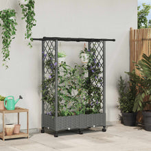 Verhoogd Bed met Trellis en Dak Lichtgrijs 122,5 x 40 x 127 cm