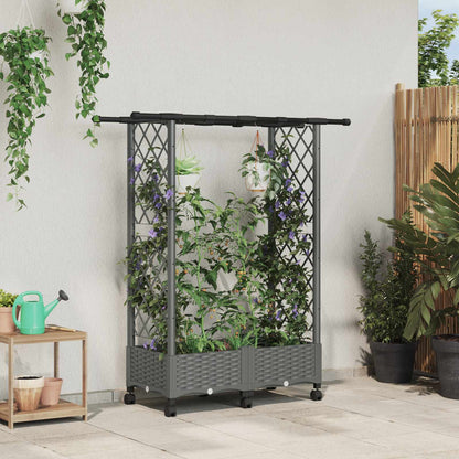 Verhoogd Bed met Trellis en Dak Lichtgrijs 122,5 x 40 x 127 cm
