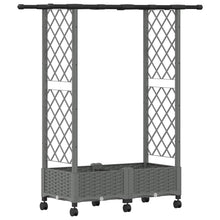 Verhoogd Bed met Trellis en Dak Lichtgrijs 122,5 x 40 x 127 cm