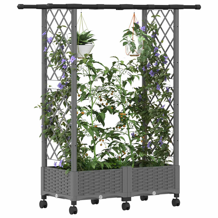 Verhoogd Bed met Trellis en Dak Lichtgrijs 122,5 x 40 x 127 cm