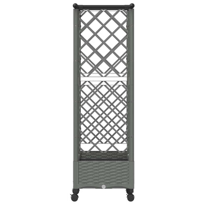 Verhoogd Bed met Trellis en Dak Lichtgrijs 122,5 x 40 x 127 cm