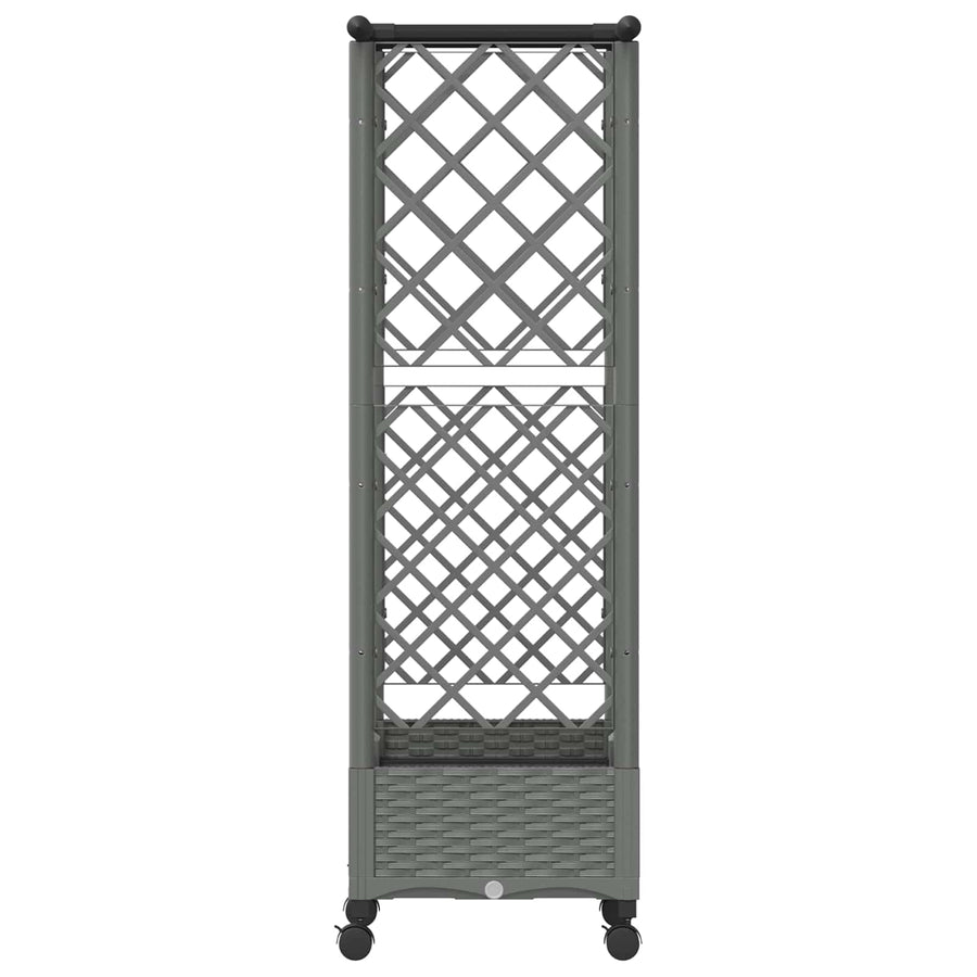 Verhoogd Bed met Trellis en Dak Lichtgrijs 122,5 x 40 x 127 cm
