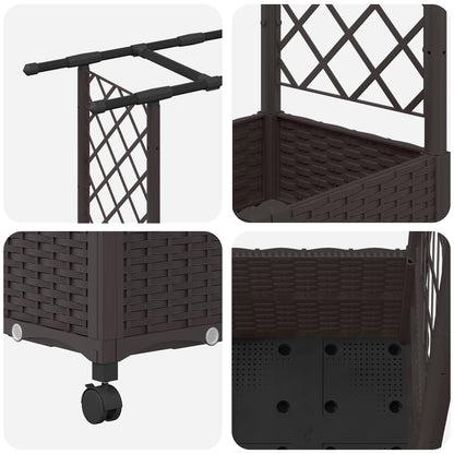 Verhoogd Bed met Trellis en Dak Bruin 124,5 x 40 x 142 cm PP
