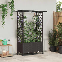 Verhoogd Bed met Trellis en Dak Bruin 124,5 x 40 x 142 cm PP