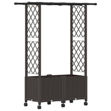Verhoogd Bed met Trellis en Dak Bruin 124,5 x 40 x 142 cm PP
