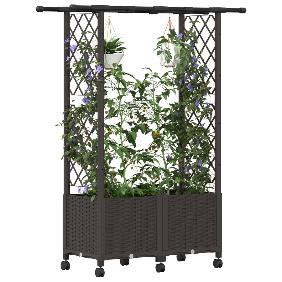 Verhoogd Bed met Trellis en Dak Bruin 124,5 x 40 x 142 cm PP