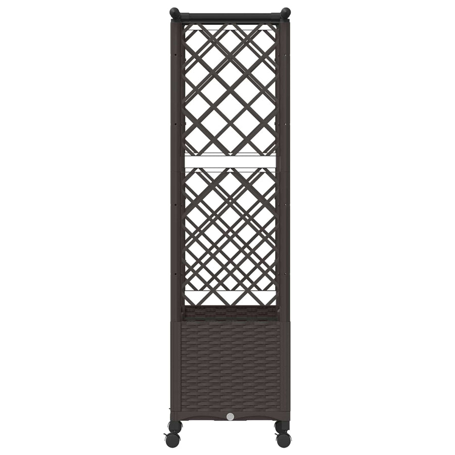 Verhoogd Bed met Trellis en Dak Bruin 124,5 x 40 x 142 cm PP