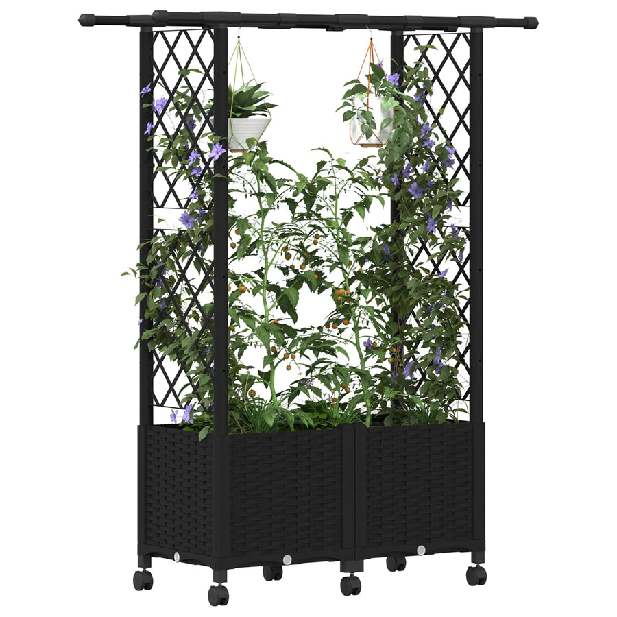 Verhoogd Bed met Trellis en Dak Zwart 124,5 x 40 x 142 cm PP