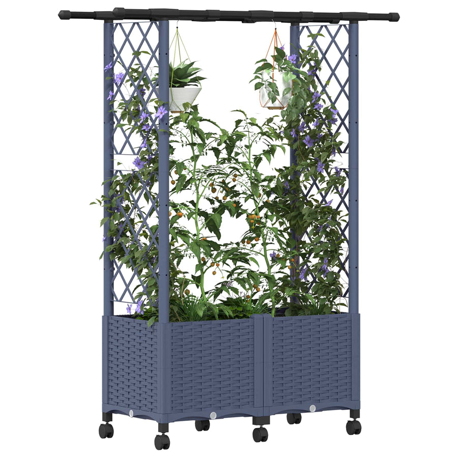 Verhoogd Bed met Trellis en Dak Grijs 124,5 x 40 x 142 cm PP