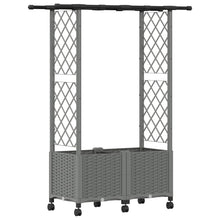 Verhoogd Bed met Trellis en Dak Lichtgrijs 124,5 x 40 x 142 cm