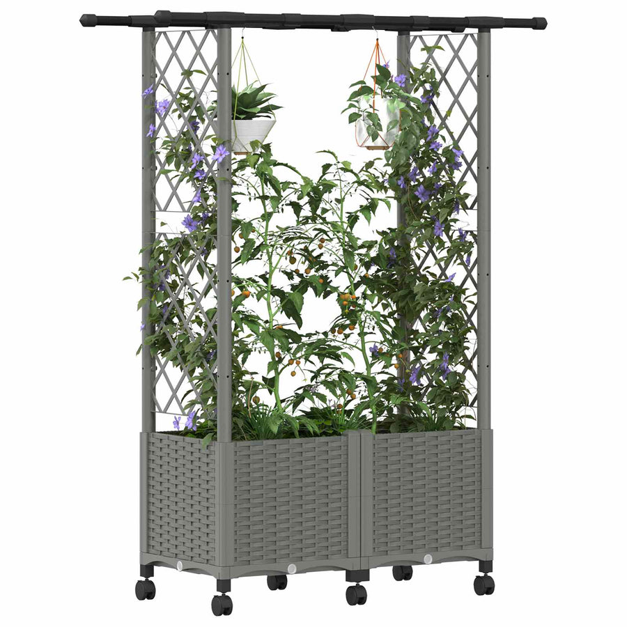 Verhoogd Bed met Trellis en Dak Lichtgrijs 124,5 x 40 x 142 cm
