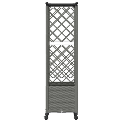 Verhoogd Bed met Trellis en Dak Lichtgrijs 124,5 x 40 x 142 cm