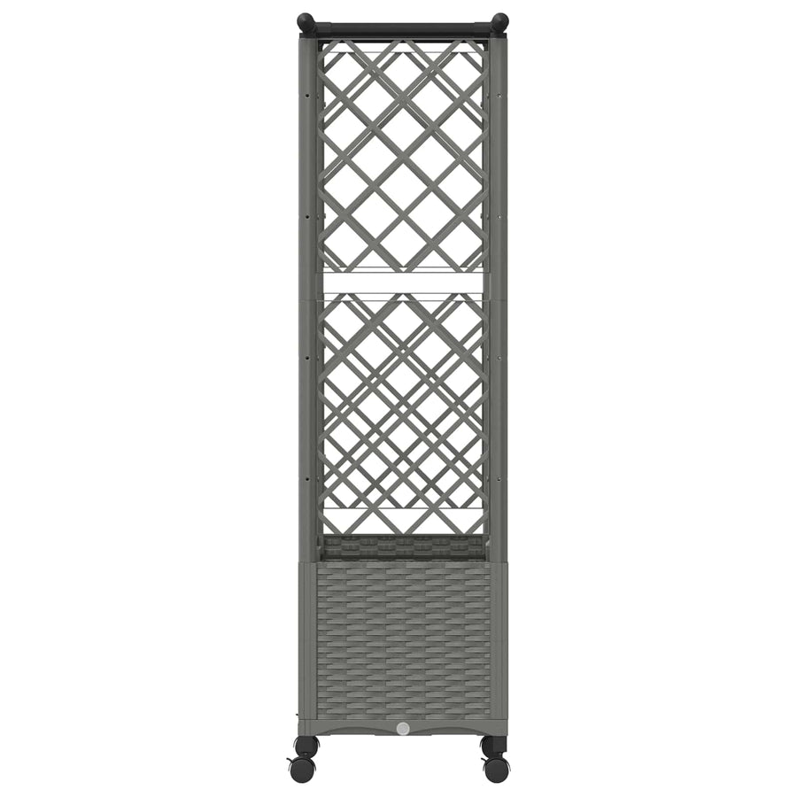 Verhoogd Bed met Trellis en Dak Lichtgrijs 124,5 x 40 x 142 cm