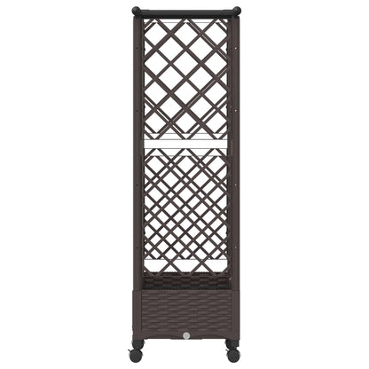 Verhoogd Bed met Trellis en Dak Bruin 124 x 40 x 127 cm PP
