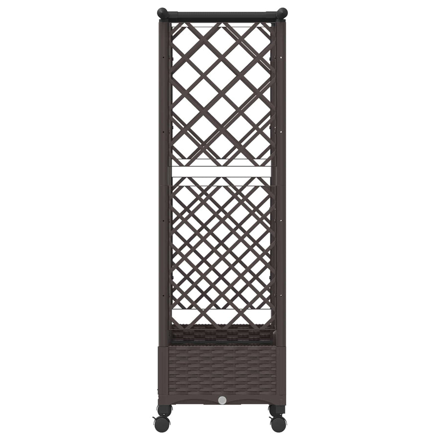 Verhoogd Bed met Trellis en Dak Bruin 124 x 40 x 127 cm PP