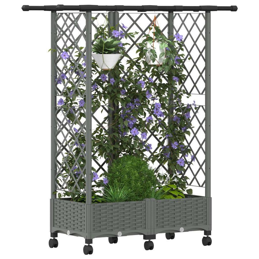 Verhoogd Bed met Trellis en Dak Lichtgrijs 124 x 40 x 127 cm PP