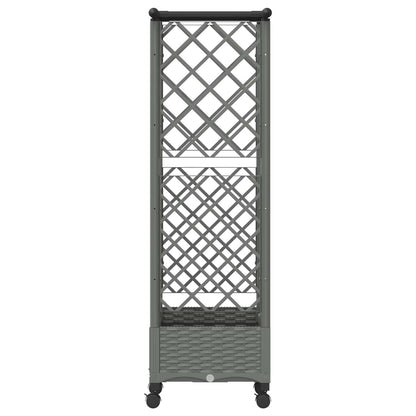 Verhoogd Bed met Trellis en Dak Lichtgrijs 124 x 40 x 127 cm PP