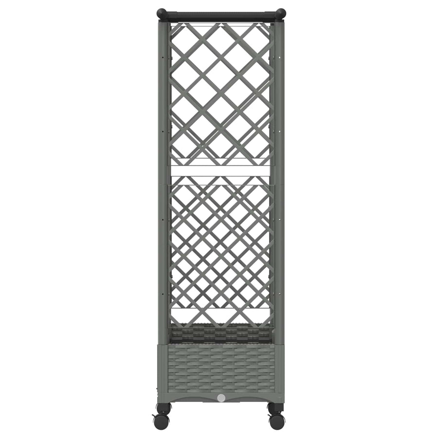 Verhoogd Bed met Trellis en Dak Lichtgrijs 124 x 40 x 127 cm PP