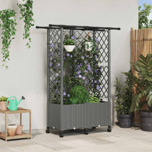Verhoogd Bed met Trellis en Dak Lichtgrijs 124 x 40 x 142 cm PP