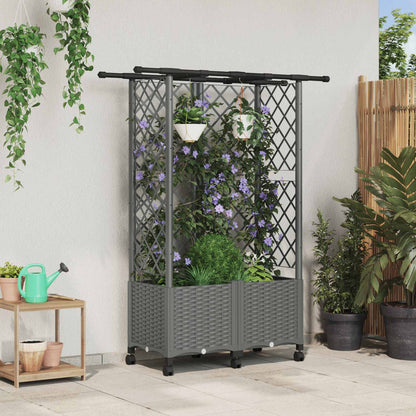 Verhoogd Bed met Trellis en Dak Lichtgrijs 124 x 40 x 142 cm PP