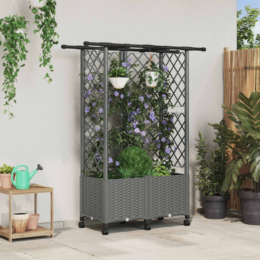 Verhoogd Bed met Trellis en Dak Lichtgrijs 124 x 40 x 142 cm PP