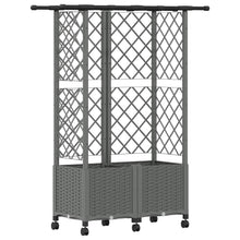 Verhoogd Bed met Trellis en Dak Lichtgrijs 124 x 40 x 142 cm PP