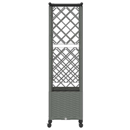 Verhoogd Bed met Trellis en Dak Lichtgrijs 124 x 40 x 142 cm PP