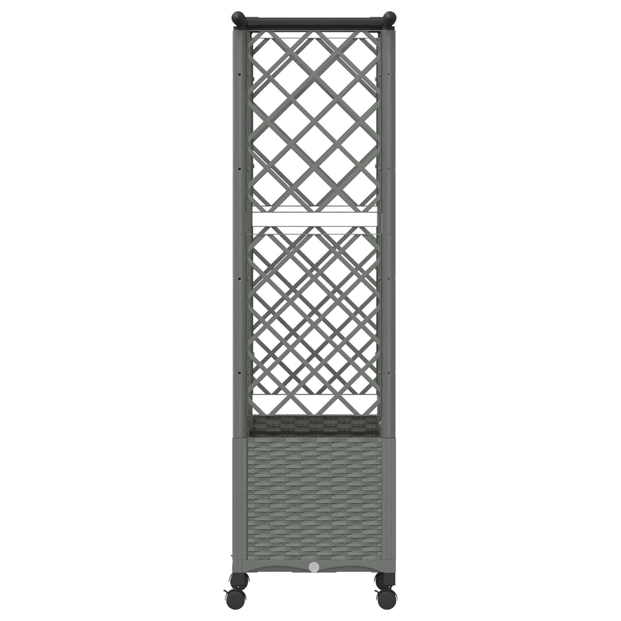 Verhoogd Bed met Trellis en Dak Lichtgrijs 124 x 40 x 142 cm PP