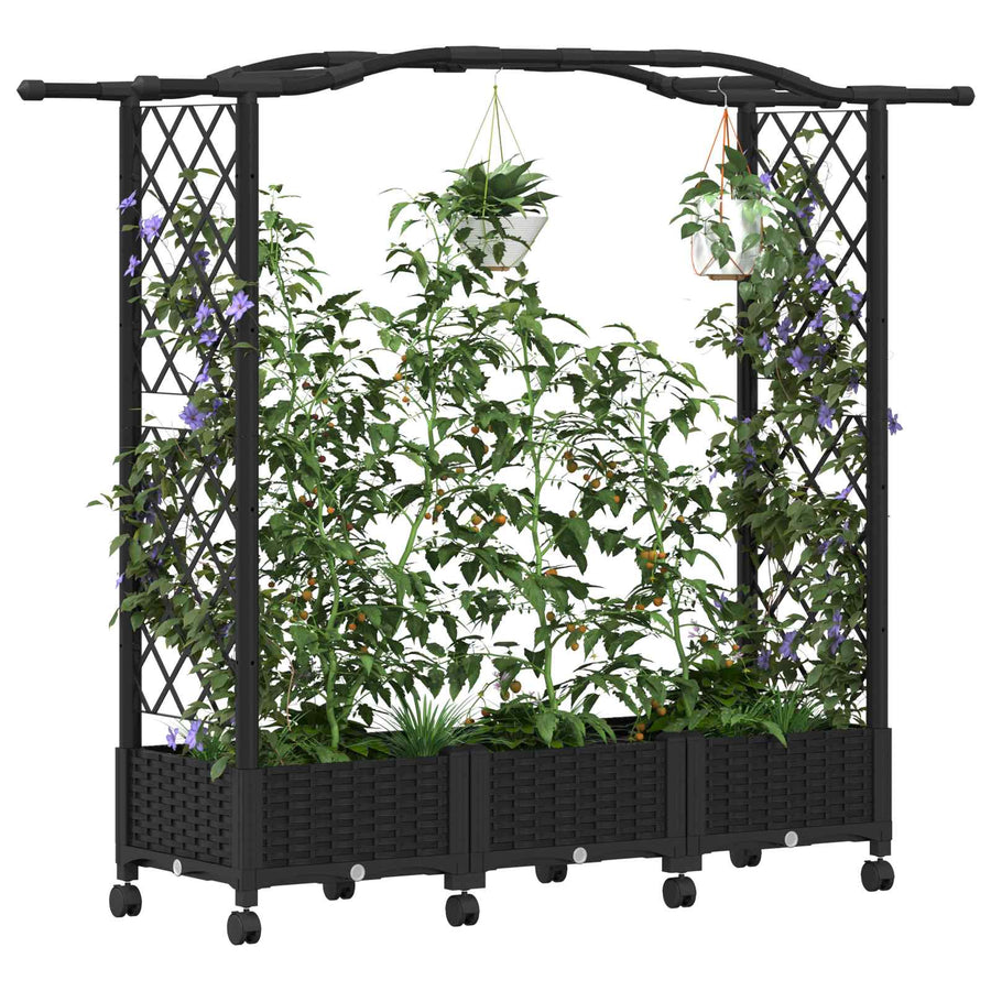 Verhoogd Bed met Trellis en Dak Zwart 169 x 40 x 129 cm PP